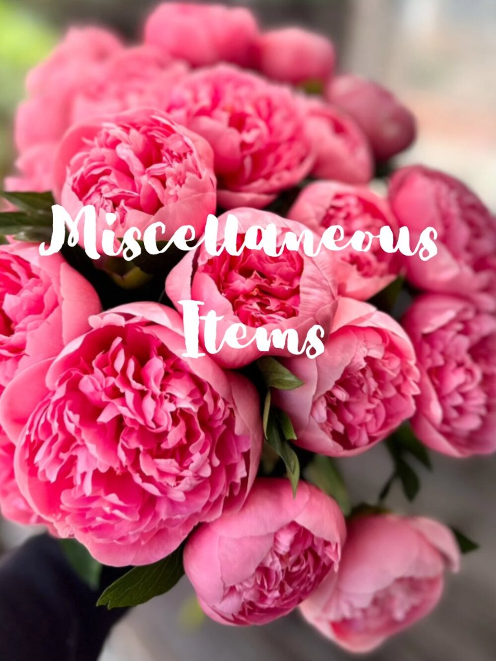 Miscellaneous Items